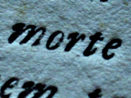 [picture: Eighteenth Century Text: macro shot 4]