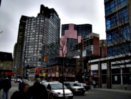 [picture: Tall buildings seen from Yonge St.]