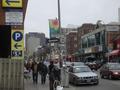 [Picture: Church Street at Maitland]