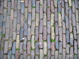 [picture: Cobbles 1]