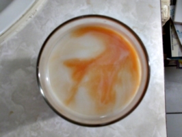 [picture: Orange Coconut Drink 2]