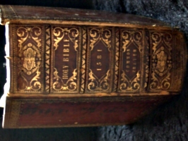 [picture: Geneva Bible spine]