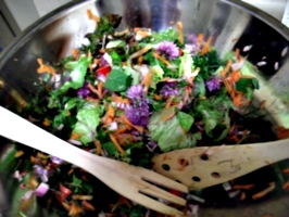 [picture: Salad Bowl 4]