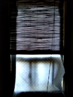 [picture: Window Blinds]