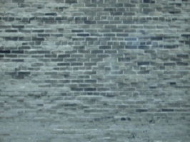 [picture: Brick wall]