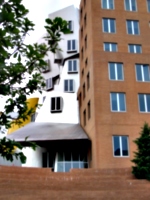 [picture: Stata Center from the back 5]