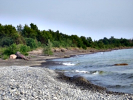 [picture: Waves lapping the beach 3]