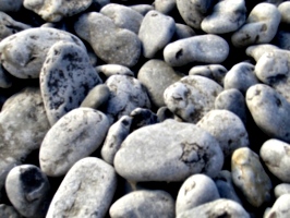 [picture: Pebbles]