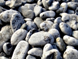 [picture: Pebbles 2]