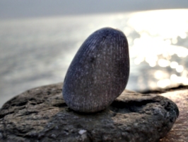 [picture: Small Rock With Longitudinal Lines]