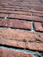 [picture: Brick perspective]