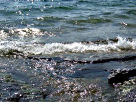 [picture: Water on rocky shore 3]