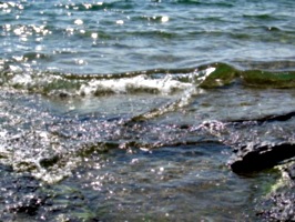 [picture: Water on rocky shore 6]