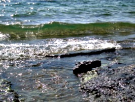 [picture: Water on rocky shore 8]