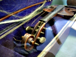 [picture: Violin]