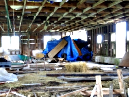 [picture: Inside the barn]