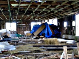 [picture: Inside the barn 2]