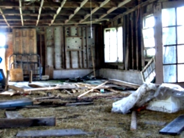 [picture: Inside the barn 5]