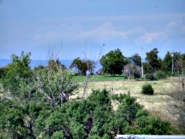 [picture: View from the barn roof]