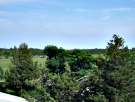 [picture: View from the barn roof 3]