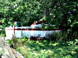 [picture: Old boat in a field]