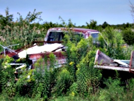 [picture: Abandoned car]