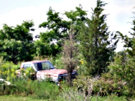 [picture: Abandoned car 3]