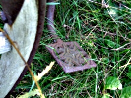 [picture: Cart footplate]