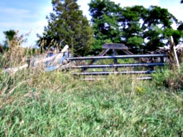 [picture: Farm gate 2]