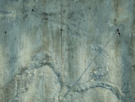 [picture: Plaster texture]