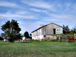 [picture: Old barn 3]