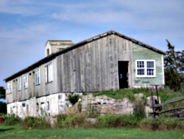 [picture: Old barn 4]