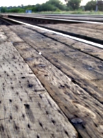 [picture: Railway lines 2]