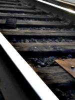 [picture: Railway lines 3]