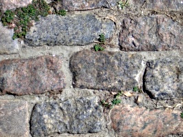 [picture: Cobblestones]