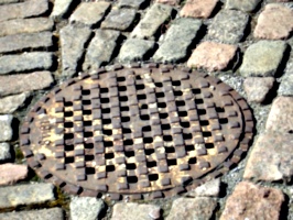 [picture: Drain cover]