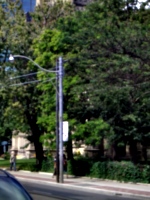 [picture: St James Cathedral vertical panorama element 6]