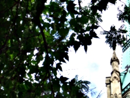 [picture: St James Cathedral vertical panorama element 41]