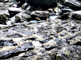 [picture: Ruins of Tintagel Castle 13: Tide-washed bricks]