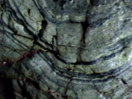 [picture: Merlin's Cave 12: rock texture 3]