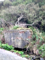 [picture: Horse drinking trough with trees]