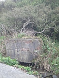 [Picture: Horse drinking trough with trees]