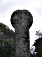 [picture: Standing Stone]