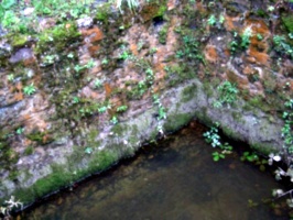 [picture: Restormel Castle 11: The castle well]