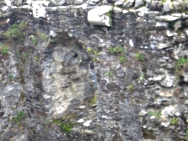 [picture: Restormel Castle 17: Corbels]