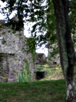 [picture: Restormel Castle 46: Looking up]