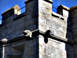 [picture: Pendennis Castle 22: Gargoyle 2]