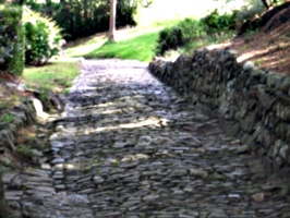 [picture: Cobbled path 2]