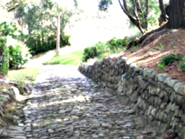 [picture: Cobbled path 3]