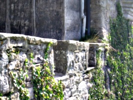 [picture: Overgrown battlements]